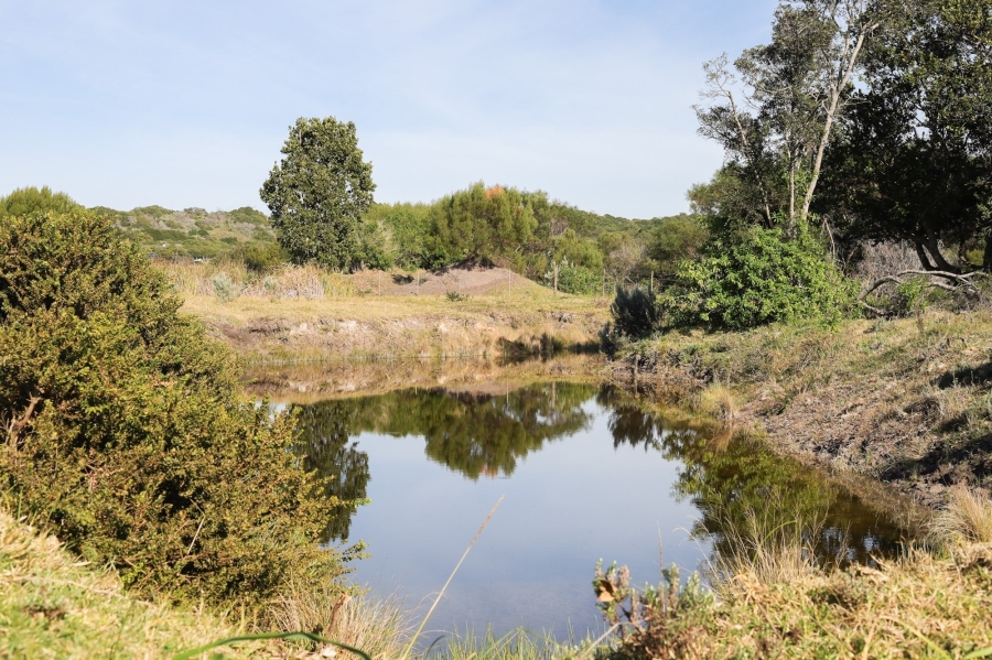 0 Bedroom Property for Sale in Kromme River Estate Eastern Cape